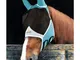 Horses - Maschera antimosche in tessuto elasticizzato e rete sottile Pro Fly per cavalli:...