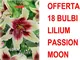 Offerta 18 bulbi lilium oriental passion moon bulbs