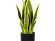 Giordanoshop - Pianta Artificiale Sansevieria H45 cm con Vaso Verde