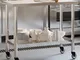 Tavolo da Lavoro Cucina con Ruote 110x55x85 cm in Acciaio Inox