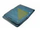 Tecplast - Telo di plastica 6x10 m blu e verde 150g/m² - telo protettivo in polietilene