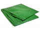 Telo di plastica rinforzato verde 2 x 3 m 170g/m² - Telo di polietilene rinforzato 2x3 m