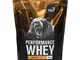  Performance Whey Iced Nocciola