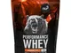  Performance Whey Cioccolato