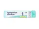 BOIRON® Lycopodium Clavatum (Boiron)*80 Granuli 6 Ch Contenitore Multidose 4 G