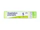 BOIRON Gnaphalium Polycephalum 80 Granuli 5 Ch Contenitore Multidose