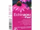 Optima Echinacea  Fast