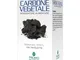 Carbone Vegetale 100 Compresse
