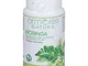 Armores Natura Moringa