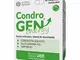 Condrogen Energy 60Cpr Mastic