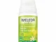 WELEDA 24h Deo Roll-On Limone
