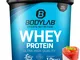 Bodylab24 Proteine Whey in Polvere, Pannacotta