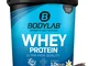 Bodylab24 Proteine Whey in Polvere, Vaniglia