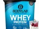 Bodylab24 Proteine Whey in Polvere, Yogurt alla Ciliegia