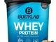 Bodylab24 Proteine Whey in Polvere, Biscotto al Cioccolato