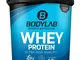 Bodylab24 Proteine Whey in Polvere, Pistacchio