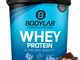 Bodylab24 Proteine Whey in Polvere, Cioccolato alla Nocciola