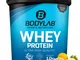 Bodylab24 Proteine Whey in Polvere, Cheesecake al Limone