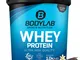 Bodylab24 Proteine in polvere, Vaniglia Bourbon