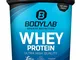 Bodylab24 Proteine Whey in Polvere, Fragola e Cioccolato Bianco in Pezzi