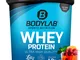 Bodylab24 Proteine Whey in polvere, Mix di frutta