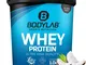 Bodylab24 Proteine Whey in Polvere, Cocco