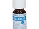 Nilodor