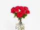 Loving Red Roses