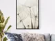 Poster e cornice Erbe delicate III, 