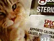 "Set 12 MIGLIOR GATTO Vaschetta Sterilizzati 85 gr Mousse Coniglio Cibo per Gatti"