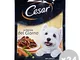 "Set 24 CESAR Le DELIZIE Bustine 100 gr Pollo-Verdure Cibo Per cani"