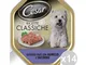 "Set 14 CESAR Ricetta Classica Vaschetta Agnello Tacchin 150Gr Articolo Per Cani"