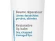 ATODERM LEVRES BAUME 15ML