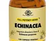 ECHINACEA 100 Cps SOLGAR