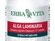 ALGA LAMIN. 60 Cps 500mg EBV