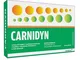 CARNIDYN 20 Bustine 5g