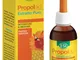 PROPOLAID Estrat.Concent.50ml