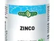 ZINCO 60 Cps EBV