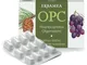 OPC 24CPS VEG S/GL 500MG ERBAMEA