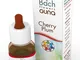 BACHFLOWERS 6 Cherry Plum10ml