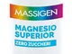 MASSIGEN MG Superior 300g