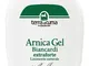 ARNICA Ex-Fte Gel Equin.500ml