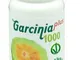 GARCINIA Plus 1000 60 CprA-NAT