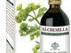 ALCHEMILLA Estr.Integr.200ml.