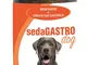 SEDAGASTRO 200 ML