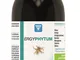 ERGYPHYTUM 250ml