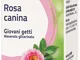 BO.ROSA CANINA MG I 60ml