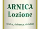 ALLGA PHARMA Loz.Arnica 250ml