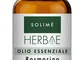 HERBAE ROSMARINO OE 10ML