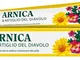 DR THEISS ARNICA & ARTIGLIO